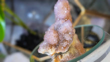 Load image into Gallery viewer, 2.5" Ametrine Spirit Cactus Quartz Crystal Cluster
