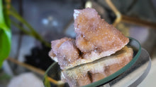 Load image into Gallery viewer, 2.5" Ametrine Spirit Cactus Quartz Crystal Cluster
