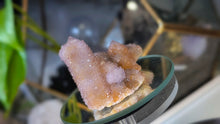 Load image into Gallery viewer, 2.5" Ametrine Spirit Cactus Quartz Crystal Cluster
