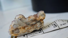 Load image into Gallery viewer, 2.5" Ametrine Spirit Cactus Quartz Crystal Cluster
