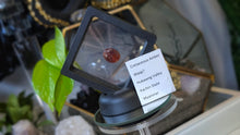 Load image into Gallery viewer, Polished Red Amber with Insect in Display Case
