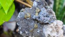 Load image into Gallery viewer, 5" Bulgarian Sphalerite Quartz Galena Pyrite Crystal
