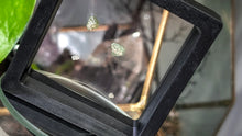 Load image into Gallery viewer, Democratic Republic of Congo Diamonds in Case (5pcs)
