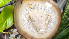 Load image into Gallery viewer, 5" Natural Brazilian Agate Quartz Crystal Slice

