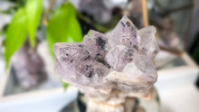 Load image into Gallery viewer, 3.5" Super 7 Quartz Crystal Cluster
