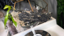 Load image into Gallery viewer, 7" Black Tourmaline &amp; Mica Cluster
