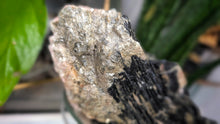 Load image into Gallery viewer, 7" Black Tourmaline &amp; Mica Cluster
