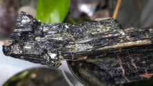 Load image into Gallery viewer, 7" Black Tourmaline &amp; Mica Cluster
