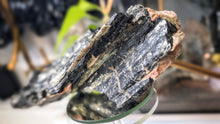 Load image into Gallery viewer, 7" Black Tourmaline &amp; Mica Cluster
