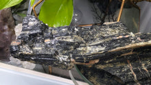 Load image into Gallery viewer, 7" Black Tourmaline &amp; Mica Cluster
