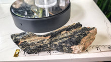 Load image into Gallery viewer, 7" Black Tourmaline &amp; Mica Cluster
