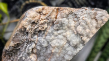 Load image into Gallery viewer, 9.5" Druzy Amethyst Crystal Cluster on Stand
