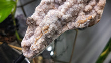 Load image into Gallery viewer, 6.5" Druzy Pink Amethyst Crystal Cluster on Stand
