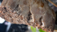 Load image into Gallery viewer, 6.5" Druzy Pink Amethyst Crystal Cluster on Stand
