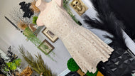 BB Dakota Ivory Lace Embroidery A-Line Dress sz0/XS