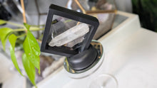 Load image into Gallery viewer, 2.5" Rare Hiddenite Kunzite Crystal Shard
