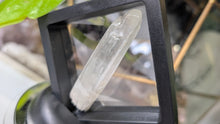 Load image into Gallery viewer, 2.5" Rare Hiddenite Kunzite Crystal Shard
