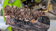 Load image into Gallery viewer, 5" Black Tourmaline &amp; Mica Cluster
