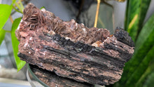 Load image into Gallery viewer, 5" Black Tourmaline &amp; Mica Cluster

