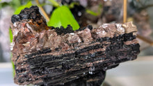 Load image into Gallery viewer, 5" Black Tourmaline &amp; Mica Cluster
