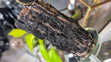 Load image into Gallery viewer, 5" Black Tourmaline &amp; Mica Cluster
