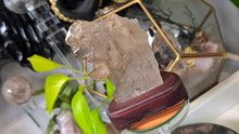 Load image into Gallery viewer, 4" Elestial Celestial Smokey Quartz Cluster in Stand
