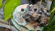 Load image into Gallery viewer, 3.5" Rare Amazonite &amp; Lepidolite Crystal Cluster
