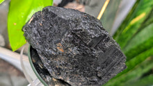 Load image into Gallery viewer, 4" Rare Large Solid Black Tourmaline Cluster
