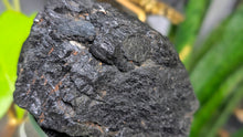 Load image into Gallery viewer, 4" Rare Large Solid Black Tourmaline Cluster
