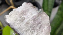 Load image into Gallery viewer, 5" Super 7 Quartz Amethyst Crystal Cluster
