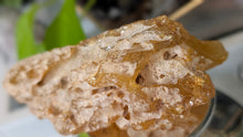 Load image into Gallery viewer, 5" Rare Columbian Amber Specimen
