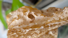 Load image into Gallery viewer, 5" Rare Columbian Amber Specimen
