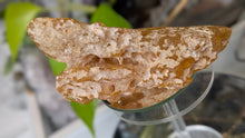 Load image into Gallery viewer, 5" Rare Columbian Amber Specimen
