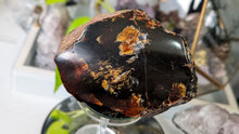 Load image into Gallery viewer, 5" Rare Dark Indonesian Amber Mineral Cluster
