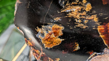 Load image into Gallery viewer, 5" Rare Dark Indonesian Amber Mineral Cluster
