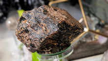 Load image into Gallery viewer, 5" Rare Dark Indonesian Amber Mineral Cluster
