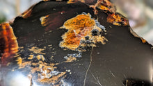 Load image into Gallery viewer, 5" Rare Dark Indonesian Amber Mineral Cluster
