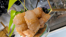 Load image into Gallery viewer, 4" Rare Golden Healer Spirit Cactus Quartz Crystal Cluster
