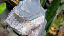 Load image into Gallery viewer, 5" Amethyst and Blue Agate Crystal Cluster
