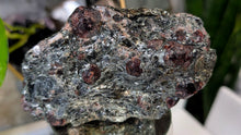 Load image into Gallery viewer, 4.5" Raw Ontario Canada Red Garnet in Mica Matrix
