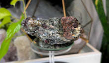 Load image into Gallery viewer, 4.5" Raw Ontario Canada Red Garnet in Mica Matrix
