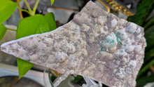 Load image into Gallery viewer, 7" Flower Amethyst Crystal Cluster
