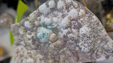 Load image into Gallery viewer, 7" Flower Amethyst Crystal Cluster
