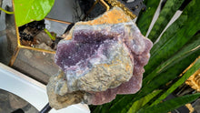 Load image into Gallery viewer, 8" Thunder Bay Amethyst Crystal Cluster on Stand
