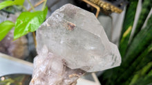 Load image into Gallery viewer, 7" Chlorite Garden Clear Quartz Crystal on Stand
