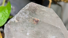 Load image into Gallery viewer, 7" Chlorite Garden Clear Quartz Crystal on Stand

