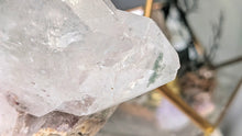 Load image into Gallery viewer, 7" Chlorite Garden Clear Quartz Crystal on Stand
