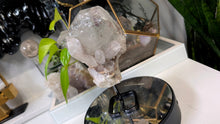 Load image into Gallery viewer, 7" Chlorite Garden Clear Quartz Crystal on Stand
