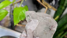 Load image into Gallery viewer, 7" Chlorite Garden Clear Quartz Crystal on Stand
