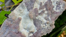 Load image into Gallery viewer, 12" Flower Amethyst Crystal Cluster on Stand
